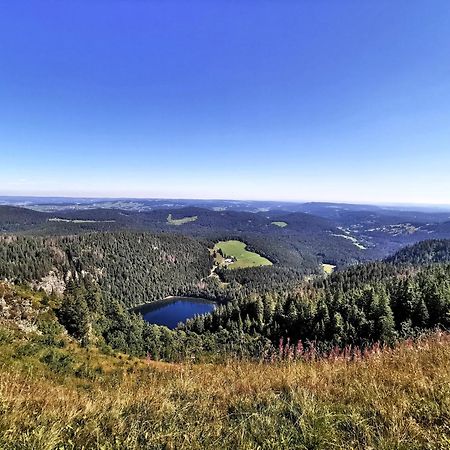 Ferienwohnung Residenz Grafenmatt Abendsonne Feldberg  Exterior foto